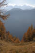 20091030_121851 Val Piodella.jpg